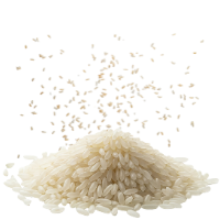 solea-category-rice